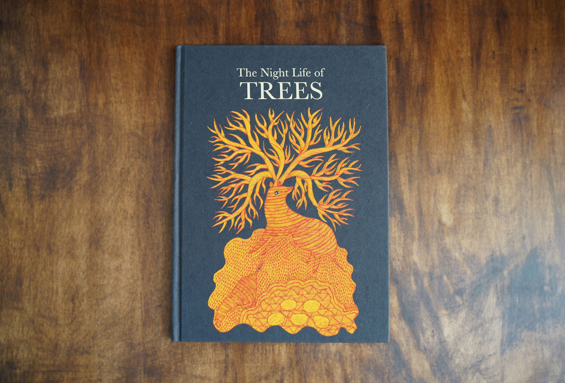 最も優遇の Tara books 夜の木 The Night Life of Trees